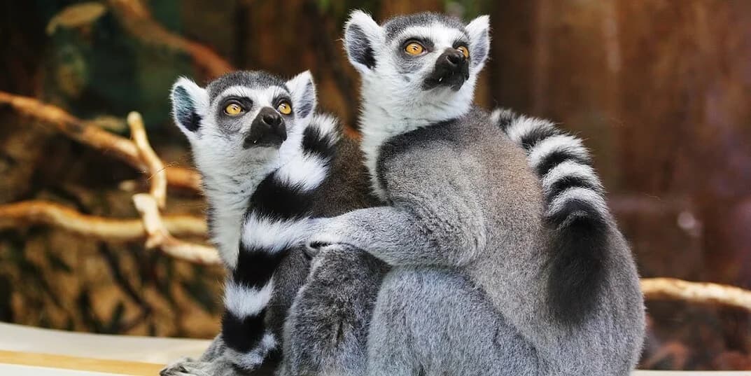 Zoo Wuppertal